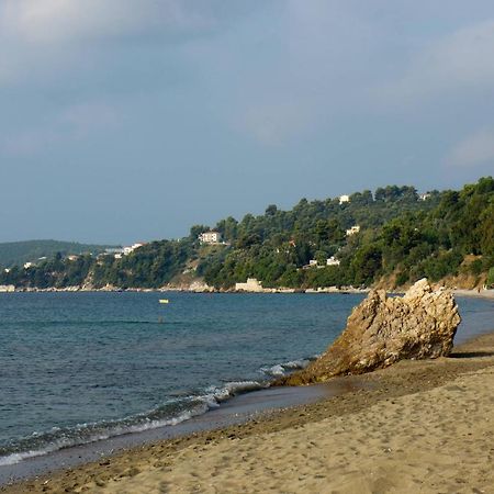 Aphrodite Skiathos メガリ・アモス エクステリア 写真