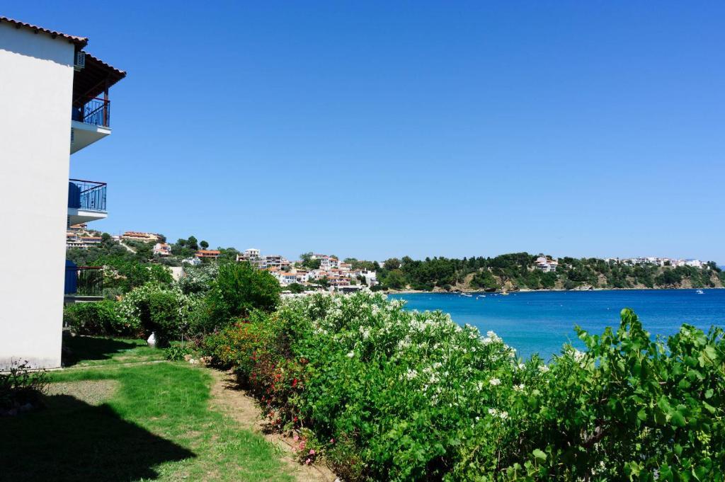 Aphrodite Skiathos メガリ・アモス エクステリア 写真