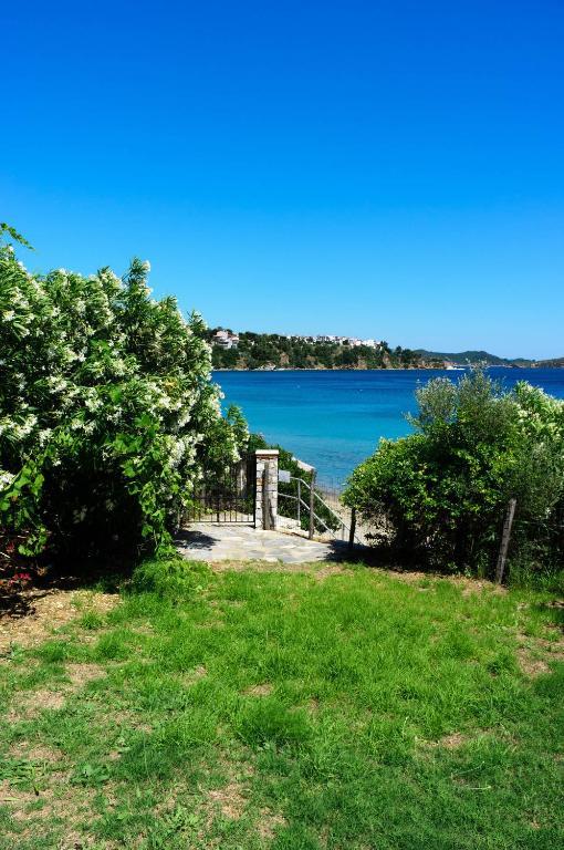 Aphrodite Skiathos メガリ・アモス エクステリア 写真