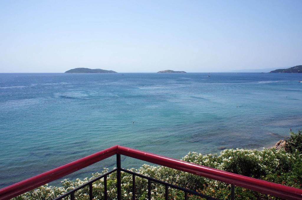 Aphrodite Skiathos メガリ・アモス エクステリア 写真