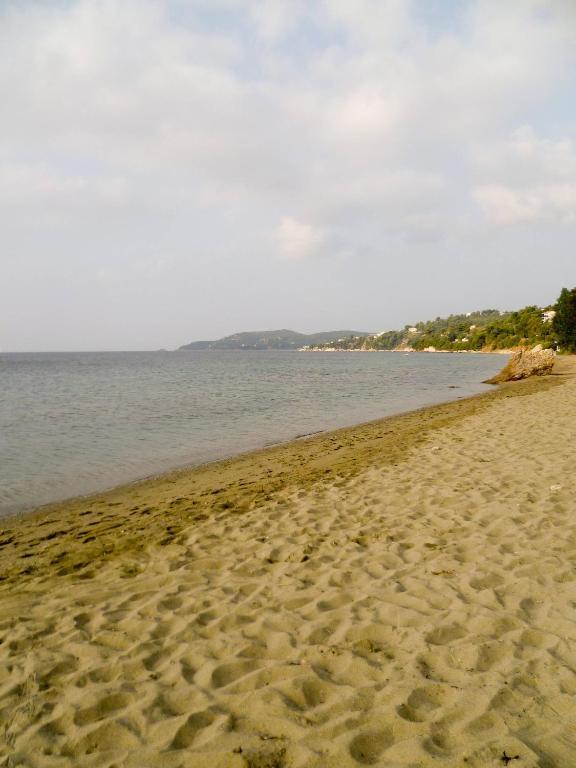 Aphrodite Skiathos メガリ・アモス エクステリア 写真