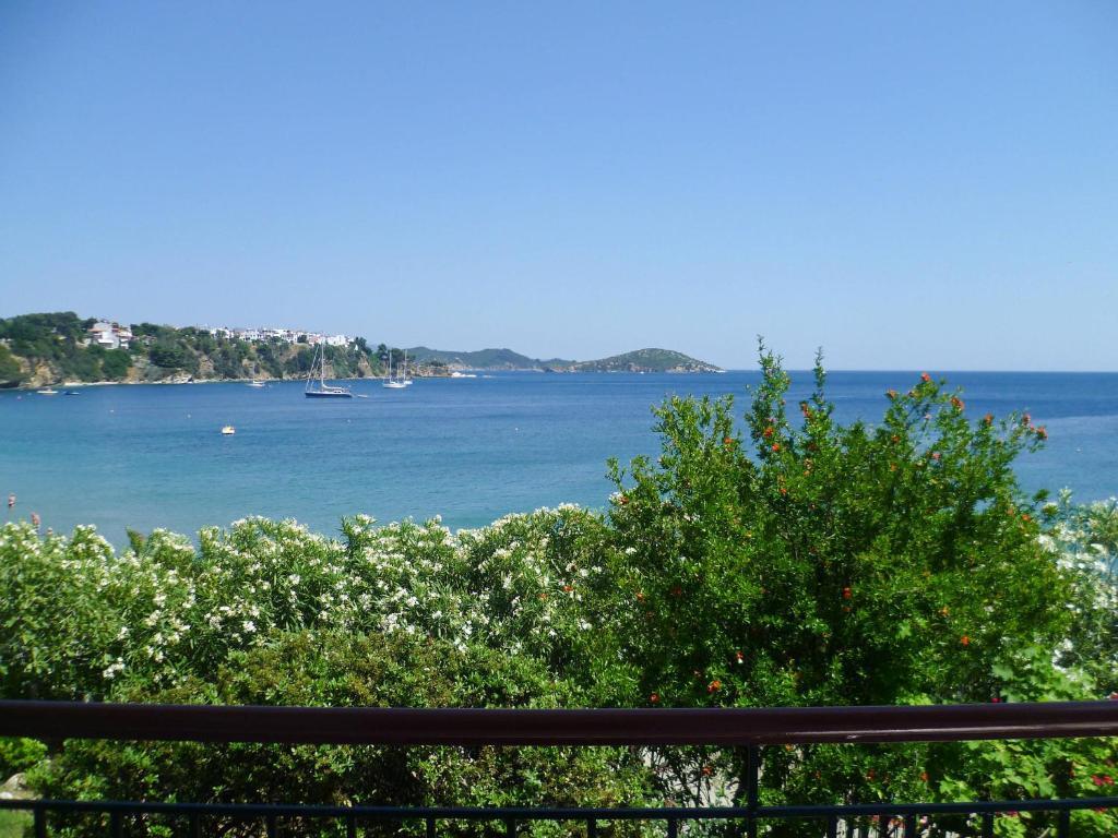 Aphrodite Skiathos メガリ・アモス エクステリア 写真