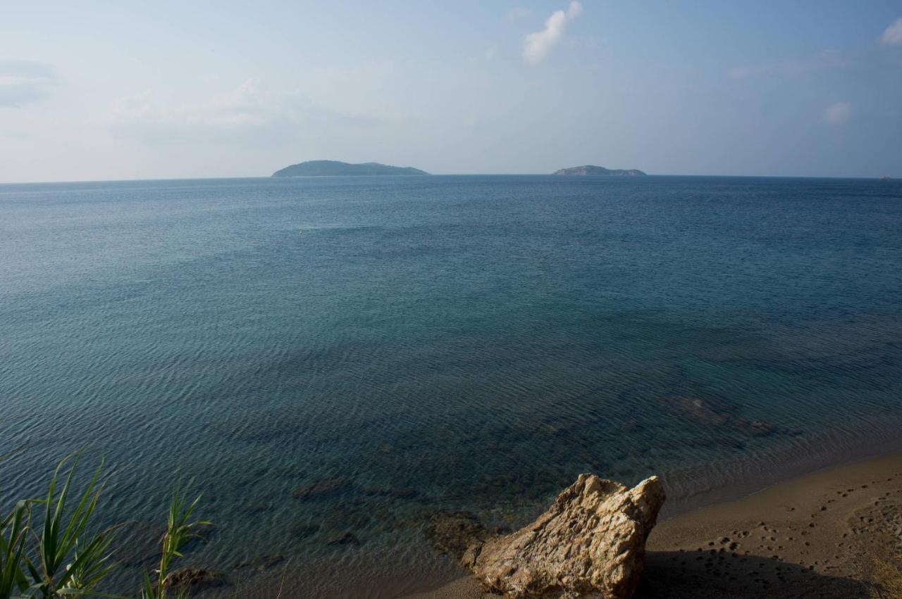 Aphrodite Skiathos メガリ・アモス エクステリア 写真